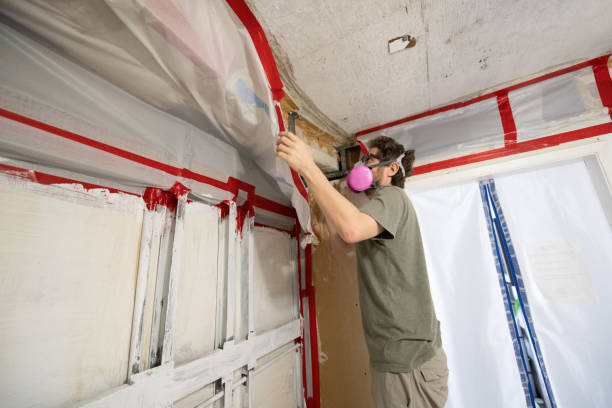 Best Emergency Mold Remediation  in Chalfant, CA