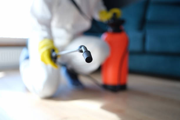Dehumidification Services in Chalfant, CA